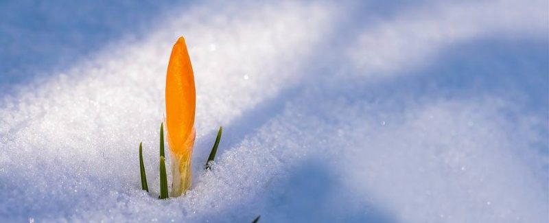 Time for Spring Cleaning Your Relationship? spring