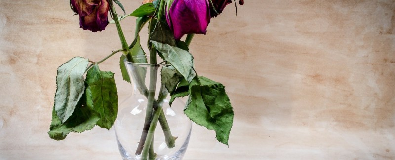 The Best Gift for Valentine’s Day how to communicate with spouse